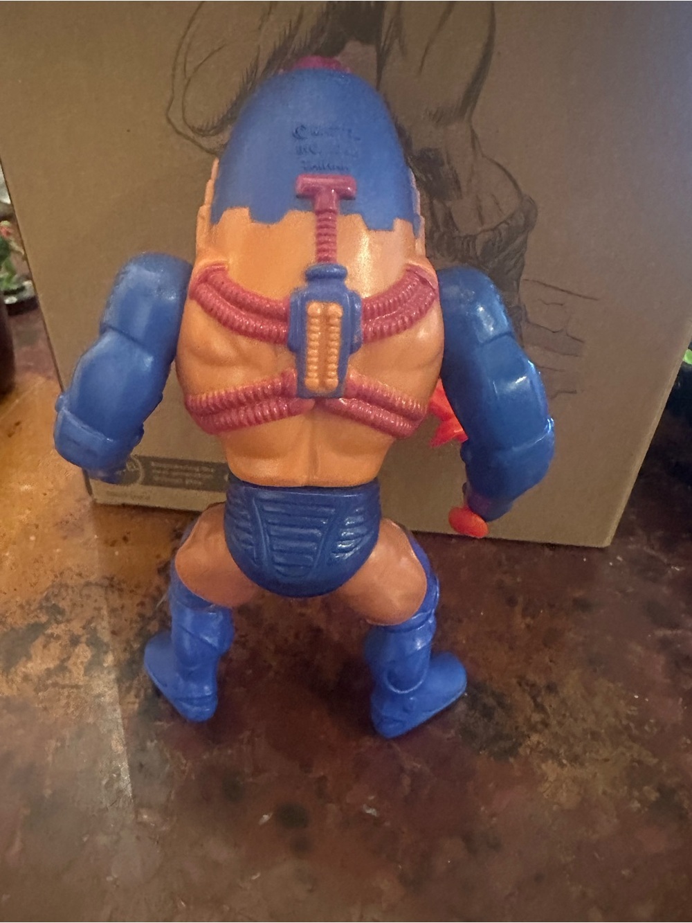 Motu - Picture 8 of 12